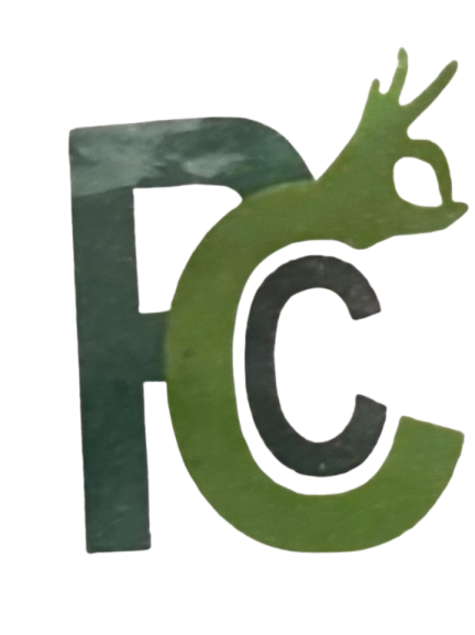Perfect Construction Perfect Construction Logo