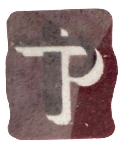 Times Projects Times Projects Logo